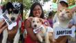 Municipalidad de Surco realiza campaña de adopción de mascotas rescatadas tras los huaicos [Fotos]
