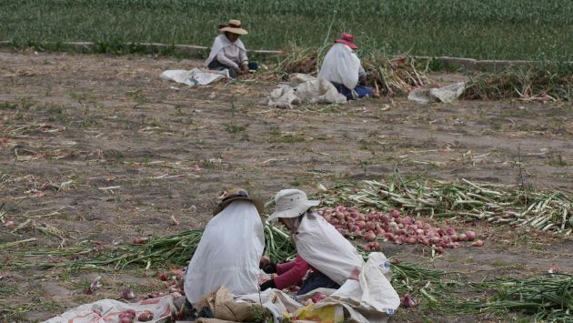 El lunes empezará la rehabilitación de la infraestructura agrícola de Áncash. (Perú21)
