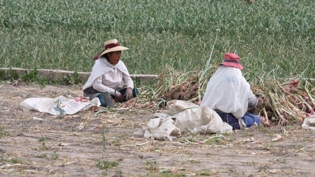 Bono será otorgado a pequeños agricultores en los próximos 60 días (Perú21)