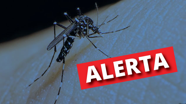 Más de 4 mil afectados y 12 fallecidos por dengue a nivel nacional. (Composición)