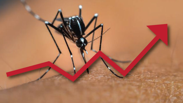 Aumenta a 15 el número de víctimas mortales por dengue en Piura. (Composición)