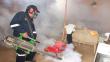Inician fumigación masiva contra el dengue en Piura