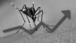 La Libertad: Casos de dengue se incrementan a 1,000 en mayo