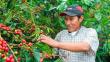 Raúl Mamani: El hombre detrás del mejor café del mundo [Videos]