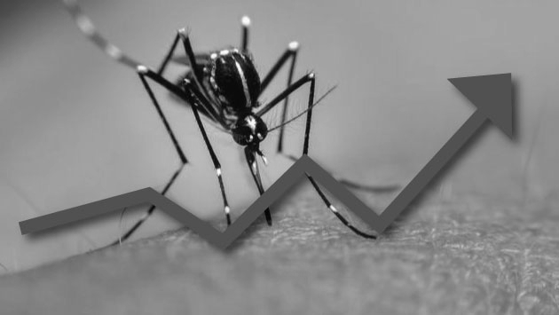 Existe una epidemia de dengue en Piura, según la OMS. (Composición)
