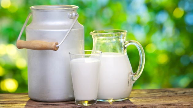 Algunos mitos sobre la leche (USI)