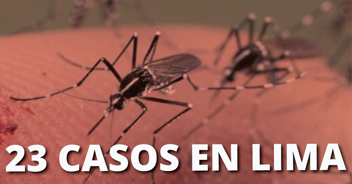 El Zika llegó a Comas, informó la viceministra de Salud. 