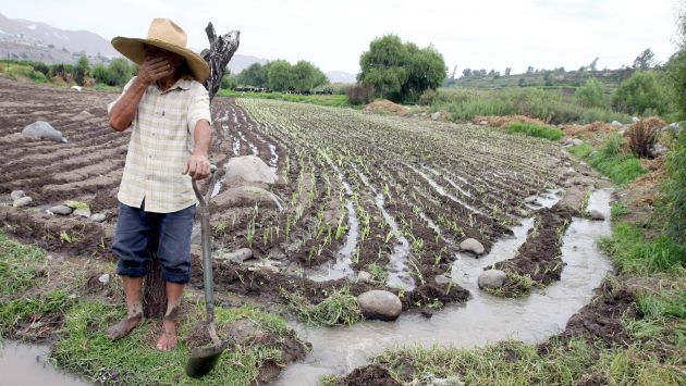 Agricultores afectados por El Niño costero tendrán bono de hasta S/6,075 (USI)