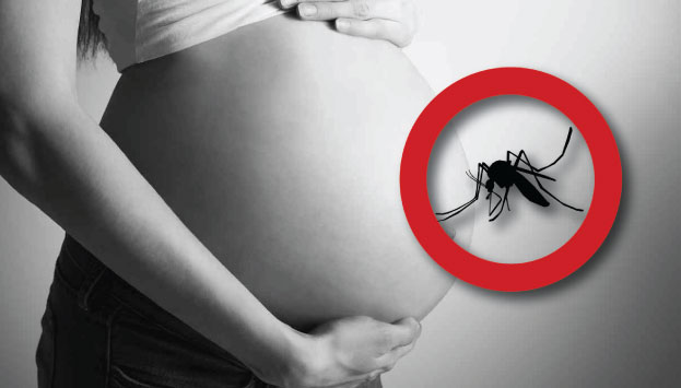 Las mujeres embarazadas deben evitar ser picadas por el zancudo transmisor del virus, que también propaga el dengue y la chikung