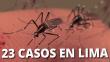 ¡Alerta! El Zika llegó a Comas, informó la viceministra de Salud [Video]