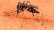 Reportan el primer caso de zika en La Libertad  