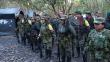 Colombia: Las FARC anunciaron la entrega de un 30% de sus armas a la ONU
