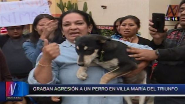 Animalistas retiraron de una casa a perro que era maltratado en Villa María del Triunfo. (Canal N)