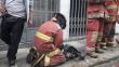 200 bomberos acudieron a apagar el incendio en la galería La Cochera [Fotos y video]