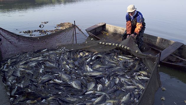 El sector pesca impulsó el crecimiento de la economía en abril (USI)