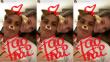 ¿Paolo Guerrero como un 'tierno cachorro' con Thaísa Leal? Mira su primera foto  juntos