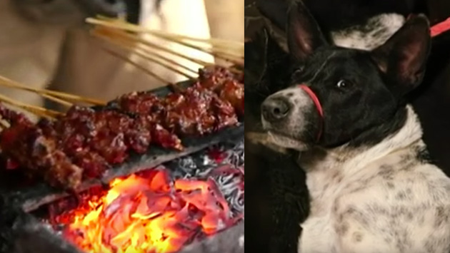 Miles de turista son estafados con carne de perro creyendo que es pollo en Bali (Composición)