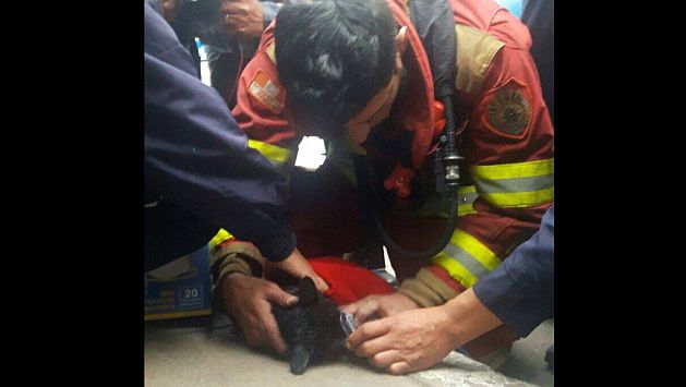 Bomberos rescatan otro gato y le dan oxígeno para reanimarlo. (Perú21)