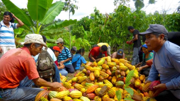 En el 2016, Bélgica importó 15,000 toneladas de cacao peruano. (Difusión)