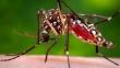 Suben a seis los casos de zika en la región La Libertad