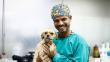 El hombre que salva vidas: Pancho Cavero y su pasión por ser veterinario [Perfil]