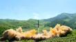 Corea del Norte: Perú y otros países muestran su rechazo tras lanzamiento de su último misil [VIDEO]