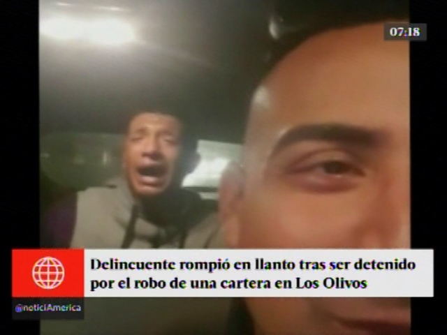 Los Olivos: Delincuente pide a llantos a su madre tras ser capturado por robar carteras. (América Noticias)