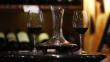 Alta Gama Winefest: "No existe un vino malo. Hay extraordinarias marcas a S/20 o S/30"
