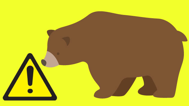Los guardaparques de Colorado quieren cazar al oso.