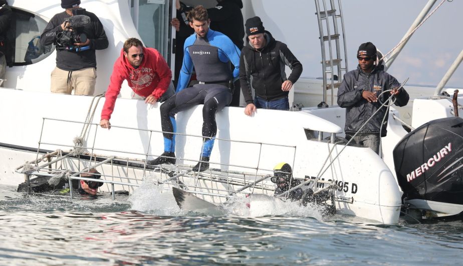 Michael Phelps: Nadador olímpico sorprende al nadar junto a un tiburón blanco 