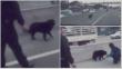 El rescate de este perro por unos policías será lo más tierno que verás hoy [VIDEO]