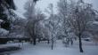 Chile: Santiago amaneció cubierto por la mayor nevada de la última década [FOTOS y VIDEOS]