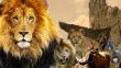Disney anunció su nueva versión de 'El Rey León' y esto debes saber