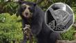 Nueva moneda de S/1 con la figura del oso andino de anteojos es puesta en circulación [FOTOS]