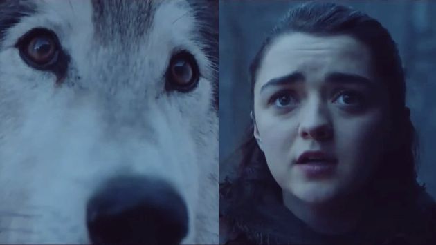 'Game of Thrones': El encuentro de Arya y Nymeria que todos los fans estaban esperando. (HBO)