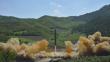 EE.UU. confirma lanzamiento de nuevo misil balístico de Corea del Norte 