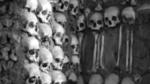 Se han encontrado  entre 600 y 700 fragmentos óseos. (Getty)