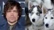 ‘Game of Thrones’: Actor Peter Dinklage pide que no compren perros husky