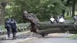 Un árbol cayó en Central Park y aplastó a una mujer y tres niños en Nueva York